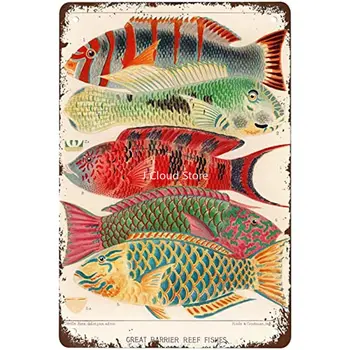 Интересные иллюстрации рыбы Большого Барьерного рифа Винтаж Металл Олово Логотип Арт Плакат Интересный Дом Гараж Кафе Офис